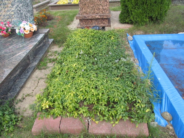 Petronela Kamińska 1939 Suwałki - Grobonet - Wyszukiwarka osób pochowanych